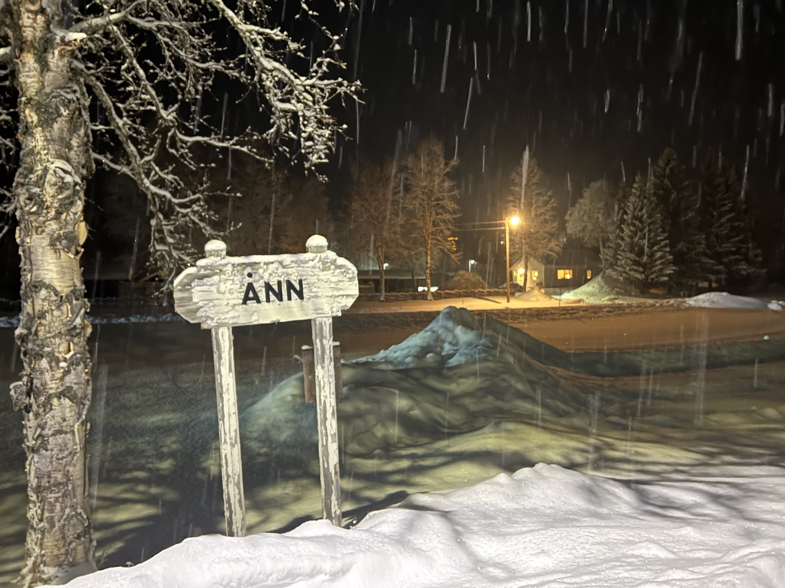 Ånn på vintern